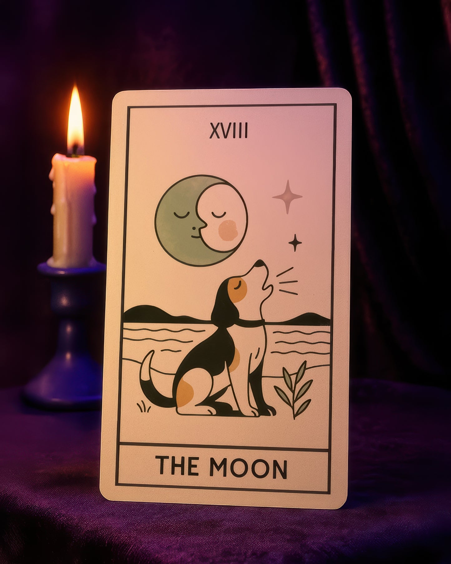 Preorder Edition: Tarot Cards for Dogs – A Fortune-Telling Deck for Good Boys and Girls with Exclusive Surprises Just for Preorders