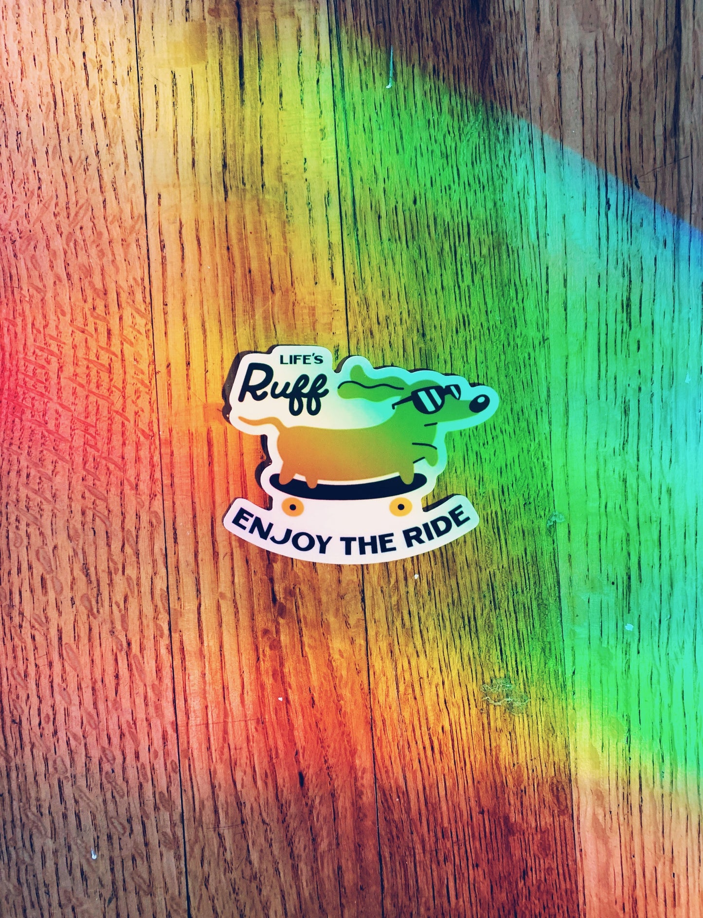 Enjoy the Ride Sticker