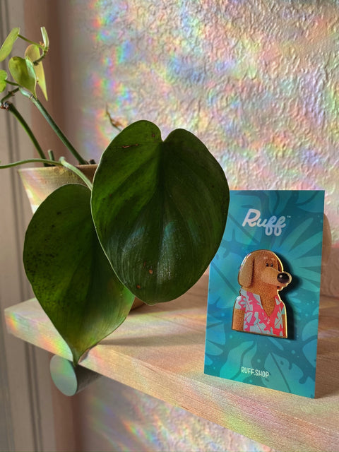 Aloha Winston Pin