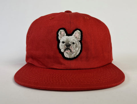 White Frenchie Red Hat