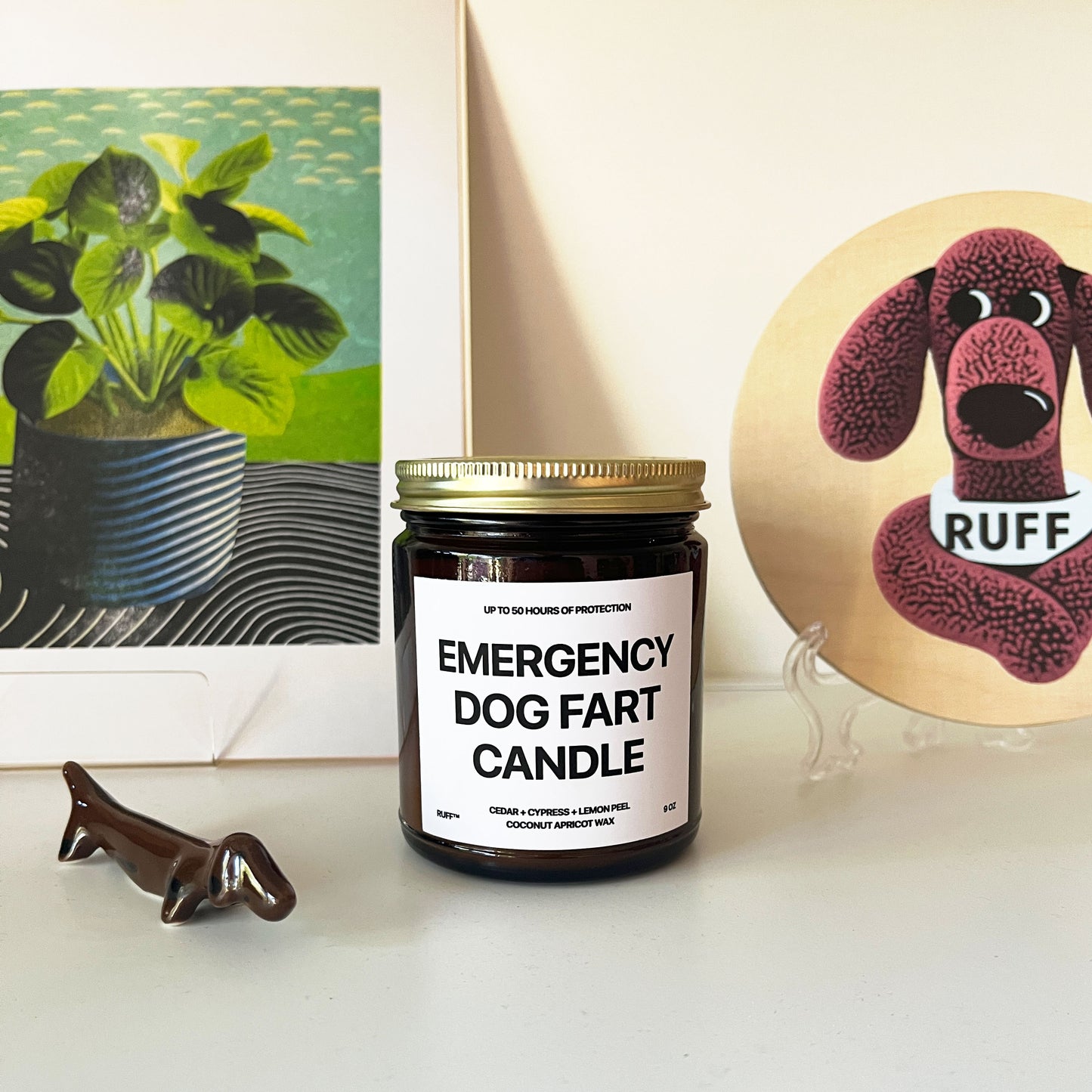 Emergency Dog Fart Candle – 9oz