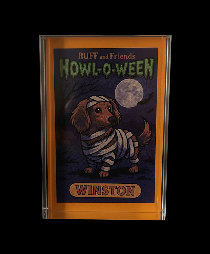 Monster Pet Portrait Acrylic Frame